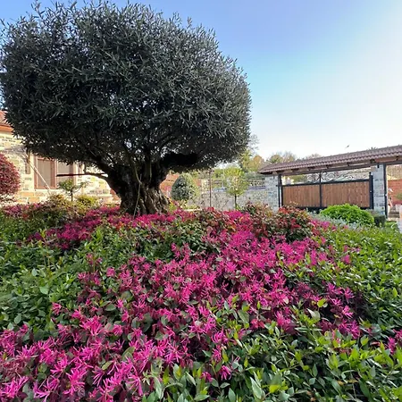 Villa Vila Belkiss